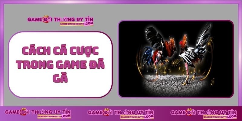 Cách Cá Cược Trong Game Đá Gà