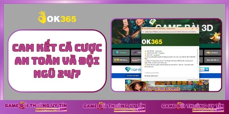 Cam kết cá cược an toàn và đội ngũ 24_7