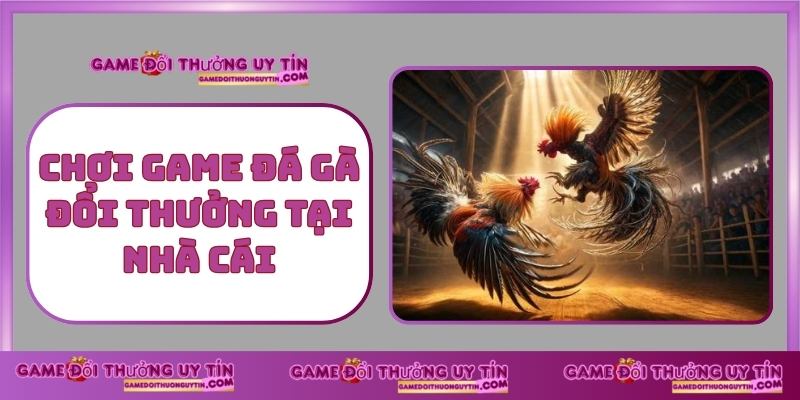 Chơi Game Đá Gà Đổi Thưởng Tại Nhà Cái